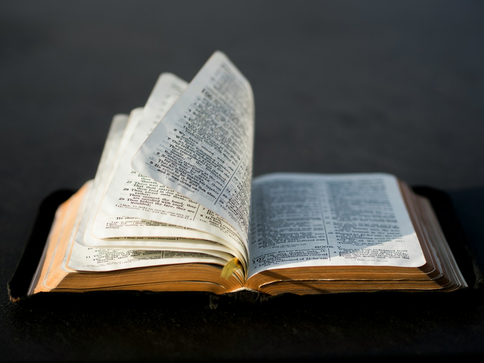Documentary filmmaker Tim Mahoney investigates ancient Bible prophecies in new film