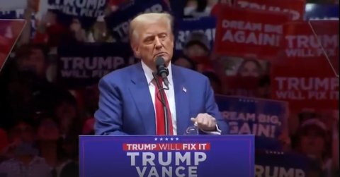 Trump Blasts ‘Weak and Stupid PANICANS’ Amid Market Fears